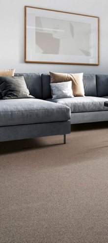 Featured Carpet Collection