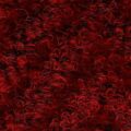 CFS New Drever – Red