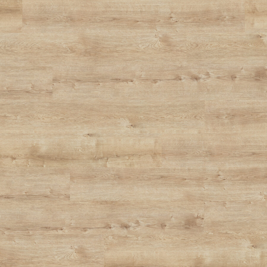 Polyflor Affinity 255 – Champagne Oak 9874
