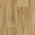 Vanguard Forest – English Oak
