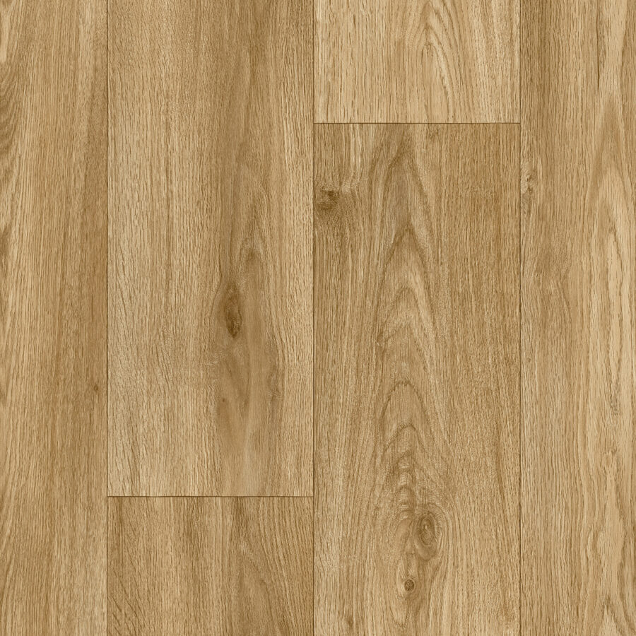 Vanguard Forest – English Oak
