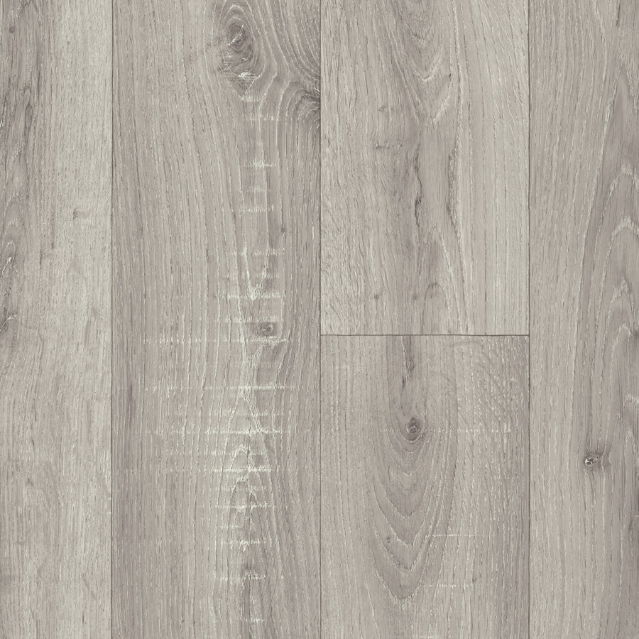 Vanguard Forest – Fawn Oak