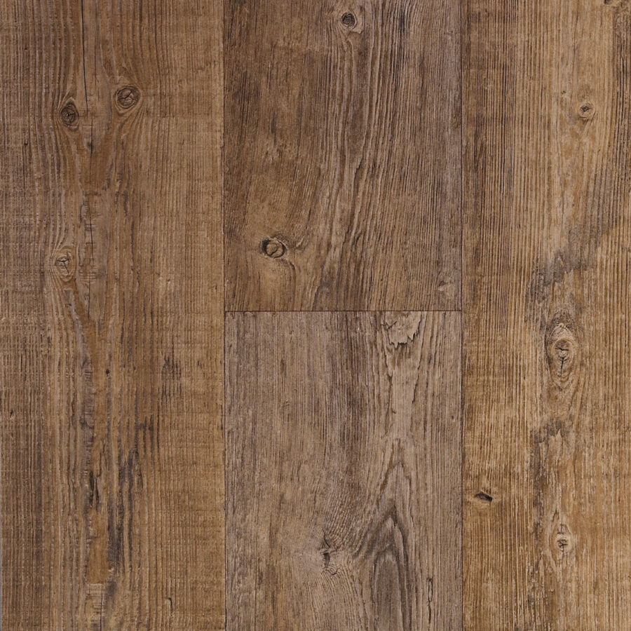 Vanguard Forest – Rustic