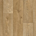 Vanguard Forest – Sunrise Oak
