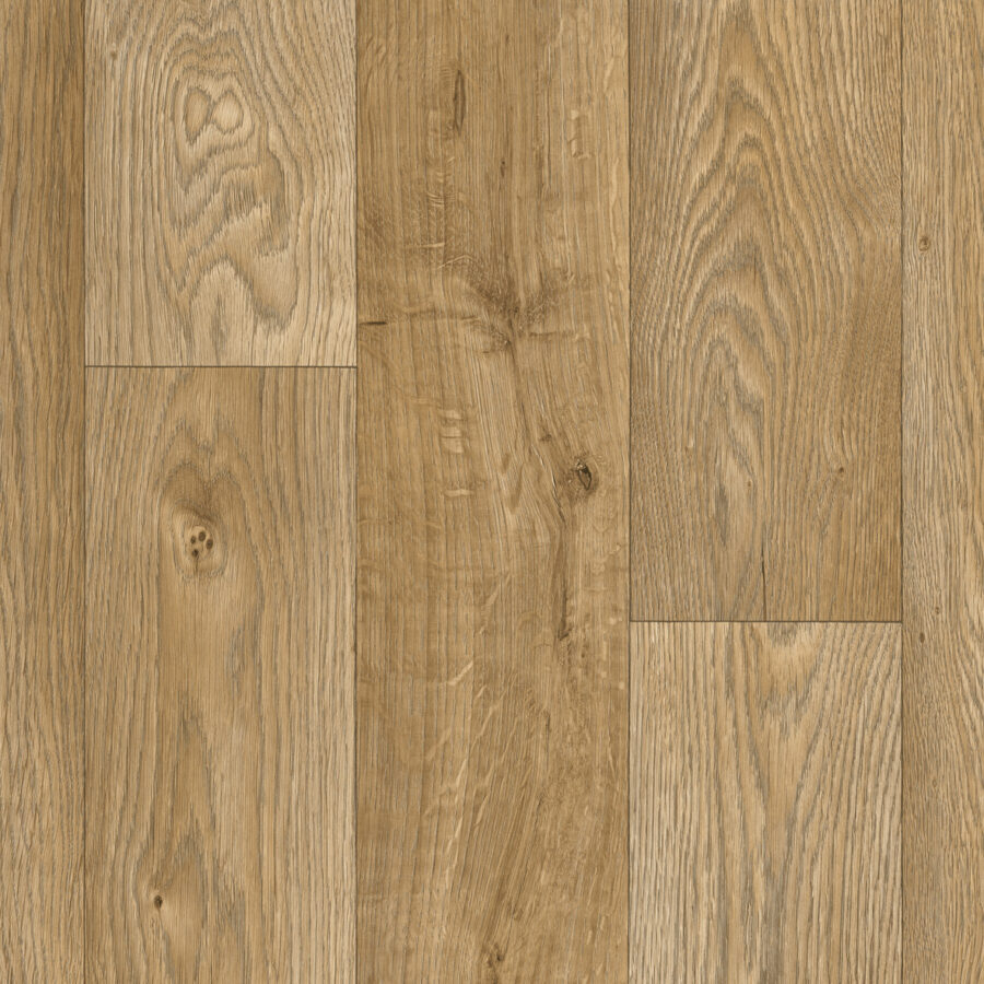 Vanguard Forest – Sunrise Oak