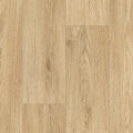Vanguard Forest – Traditional Oak