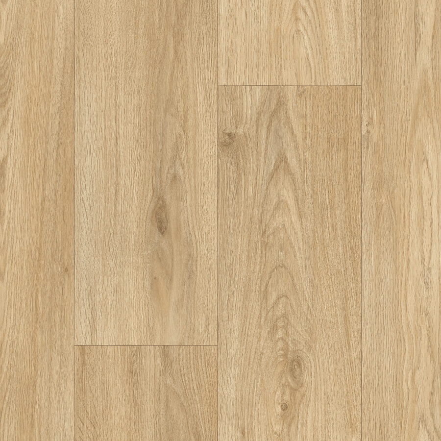 Vanguard Forest – Traditional Oak