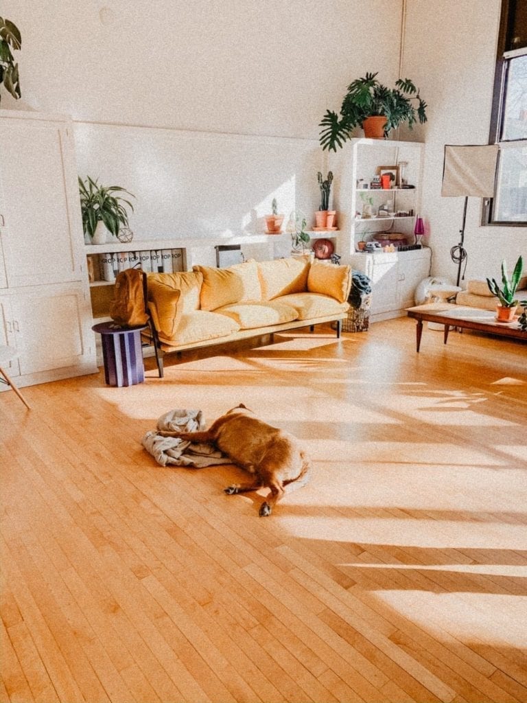 4 Interior Flooring Trends Not to Miss Out on in 2024 3 Wooden Floor In Living Room