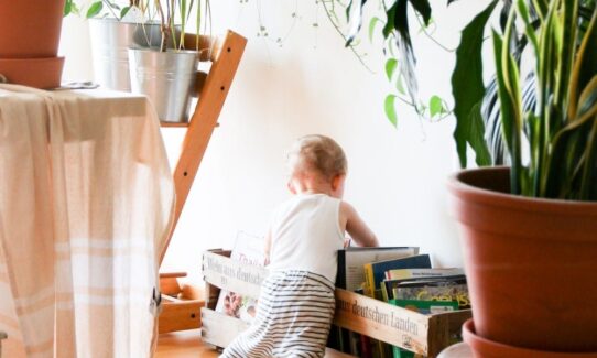 Budget Flooring for Family Homes – Why Laminate and Vinyl Floors Are Lifesavers