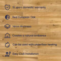 Timba Floor 5G Engineered Oak – Lacquered 2050gallery-thumbnail-main