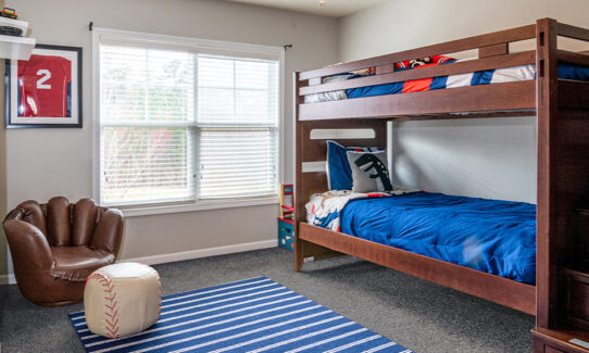 Best Budget-Friendly Carpets in 2024