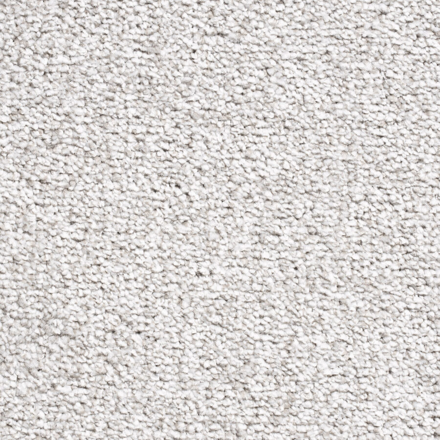 Vanguard Arcadia Twist – Silver