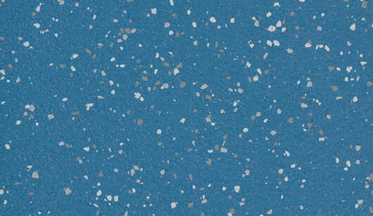 Altro Aqurarius - Blue Penguin