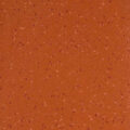 Altro Aquarius – Coral Crab