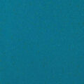 Altro Aquarius – Mallard