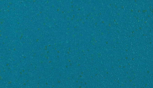 Altro Aqurarius - Mallard