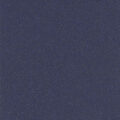 Altro Aquarius – Newt
