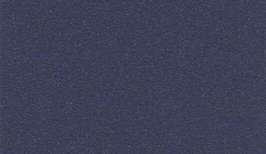 Altro Aqurarius - Newt