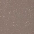 Altro Aquarius – Otter