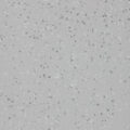 Altro Aquarius – Puffin