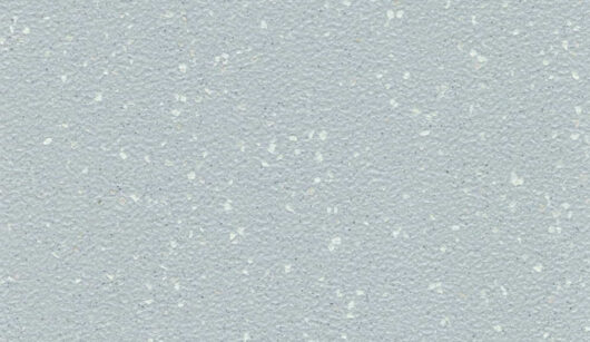 Altro Aqurarius - Sea Snail