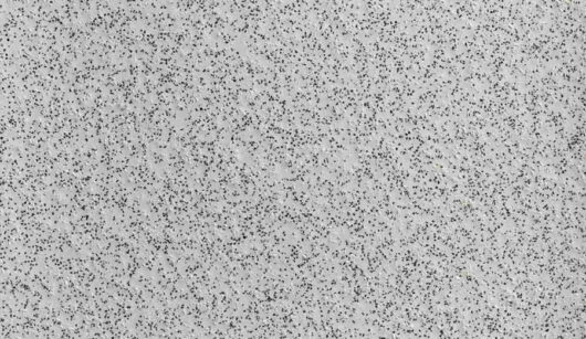Altro Stronghold 30 - Star