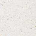 Altro Aquarius – Swan