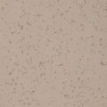 Altro Aquarius – Terrapin