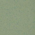 Altro Aquarius – Treefrog