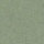 Altro ContraX - Himalayan Green