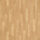 Gerflor Tarasafe Impression - Wood Ottawa Poplar 0592