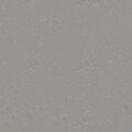 Forbo Surestep Star – Concrete