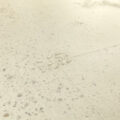 Quick-Step Alpha Illume – Pebble Concrete AVMTU40276gallery-thumbnail-main