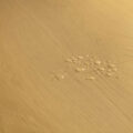 Quick-Step Classic – Biscuit Brown Oak CLM5794gallery-thumbnail-main