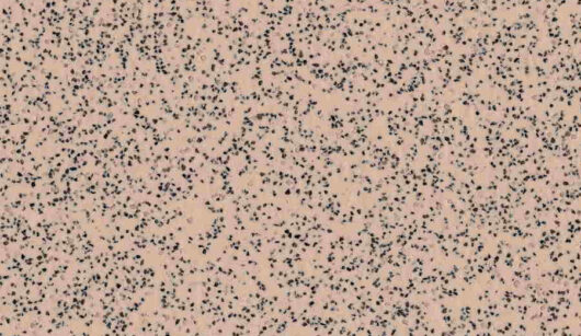 Polysafe Standard PUR Safety Flooring Elmwood 4520