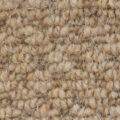 Vanguard Auckland – Hive Corn