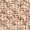 Vanguard Auckland – Hive Oatmeal