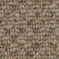 Vanguard Auckland – Hive Wheat