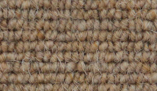 Vanguard Auckland - Linear Corn 295