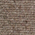 Vanguard Auckland – Linear Wheat