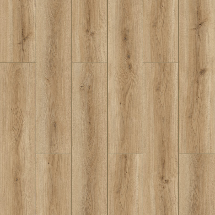 Furlong River – Trent Oak  FRV007
