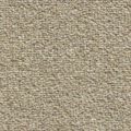 Vanguard Eminence – Olive