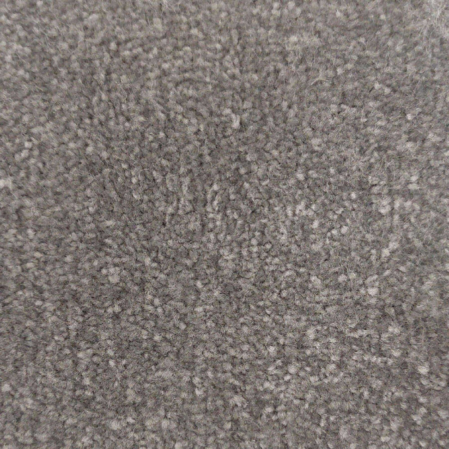 Vanguard Emperor – Dolphin