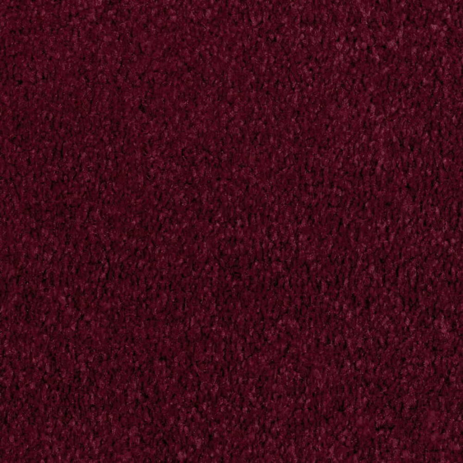 Vanguard Manhattan Saxony – Park Berry