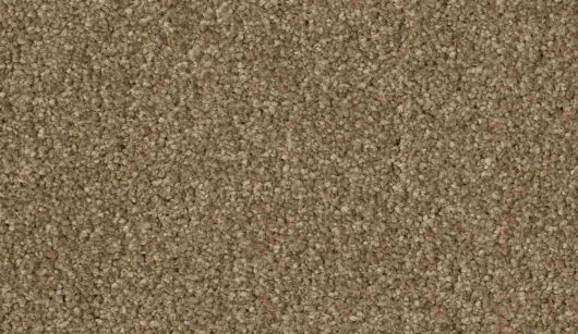 CFS Optimum Tonals - Biscuit