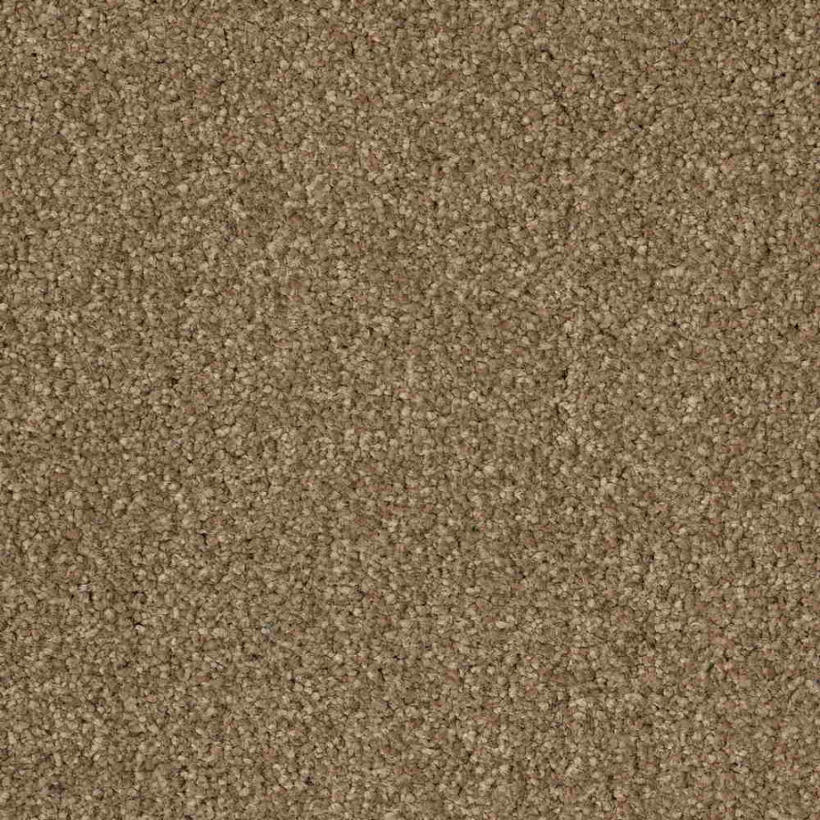 CFS Optimum Tonals – Biscuit