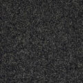 CFS Optimum Tonals – Blackberry