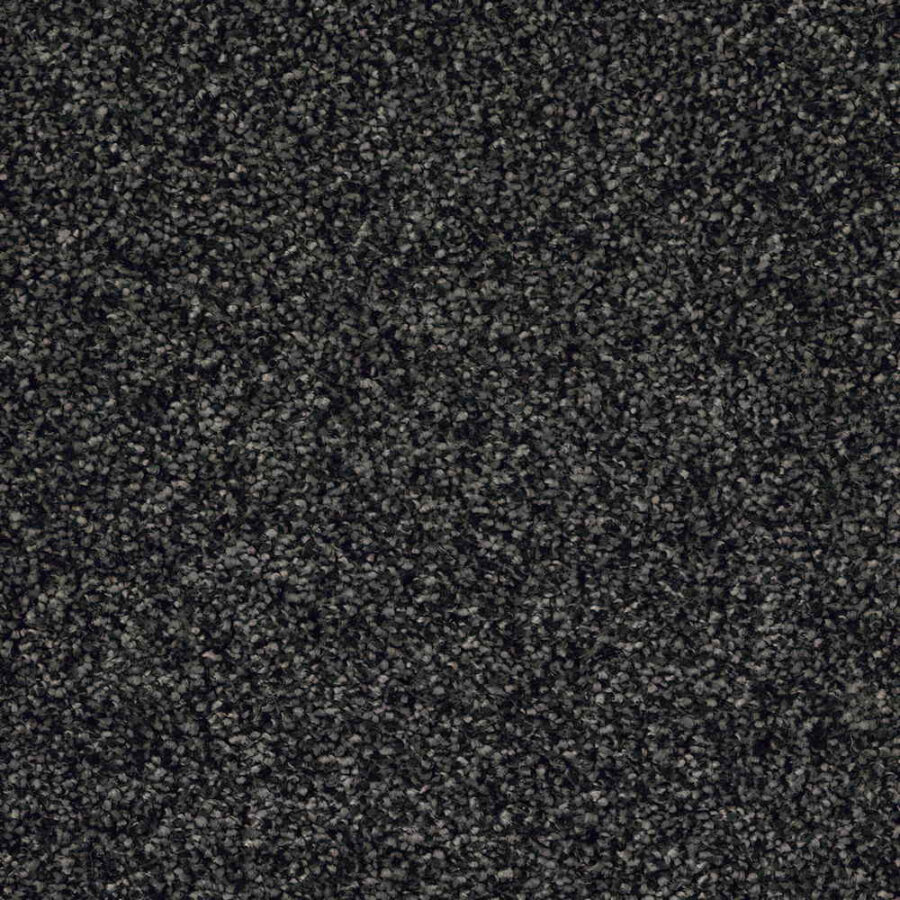 CFS Optimum Tonals – Blackberry