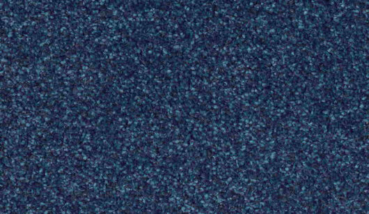 CFS Optimum Tonals - Blueberry