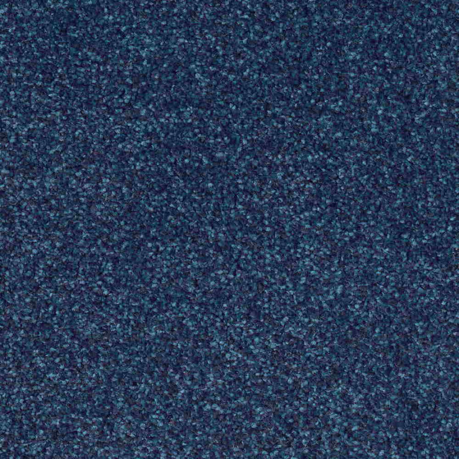 CFS Optimum Tonals – Blueberry